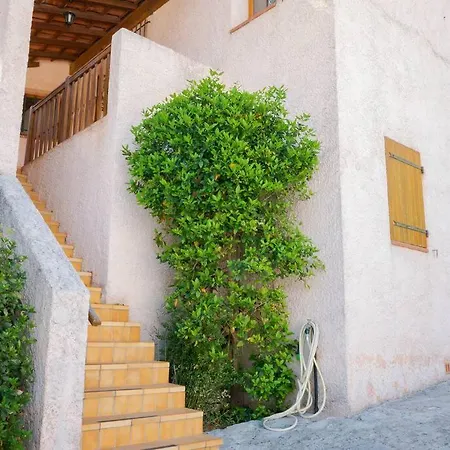 Maison Familiale Sous Les Palmiers De Hyeres