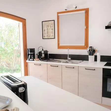 Maison Familiale Sous Les Palmiers De Villa Hyères