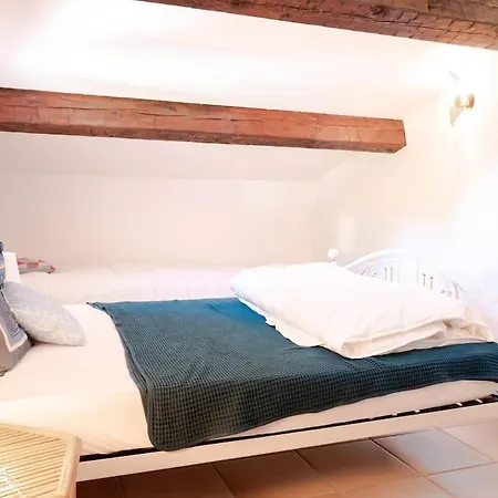 Maison Familiale Sous Les Palmiers De Hyères