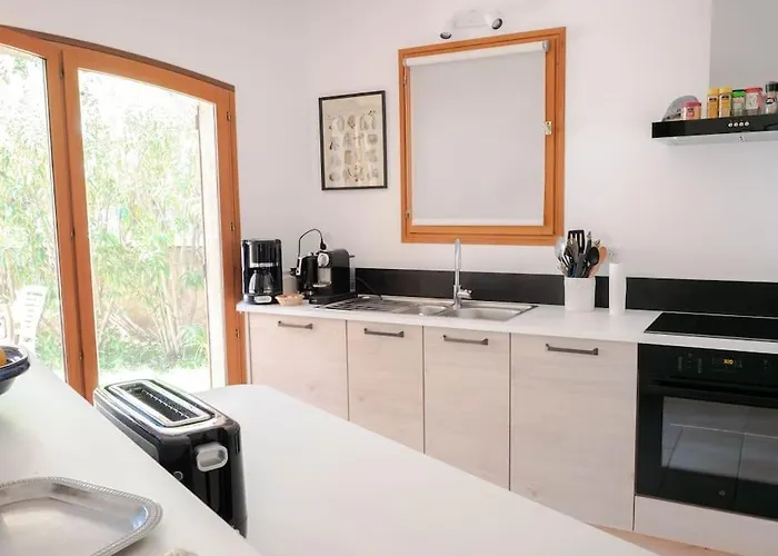 Maison Familiale Sous Les Palmiers De Villa Hyères