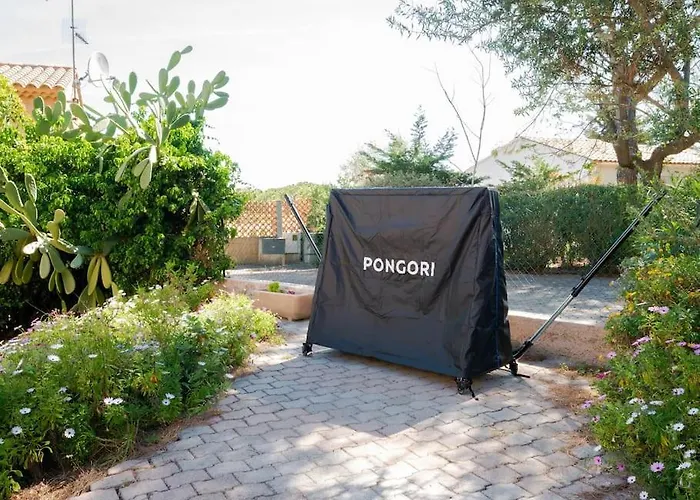 Maison Familiale Sous Les Palmiers De וילה הייר